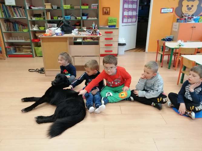 PIES – BEZPIECZNIE CZY NIEBEZPIECZNIE - spotkanie z psim psychologiem