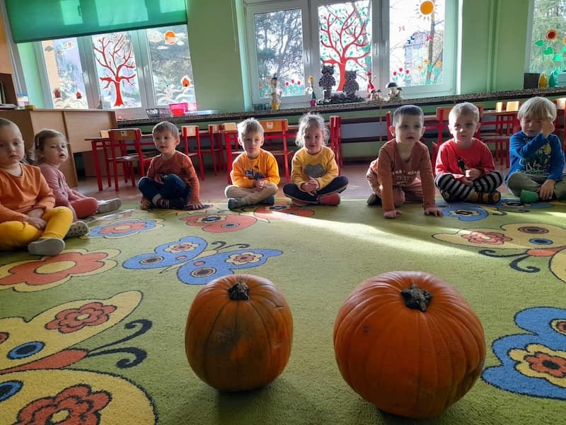 Dzień Dyni 387324702 673458984765251 1953927449027989 n