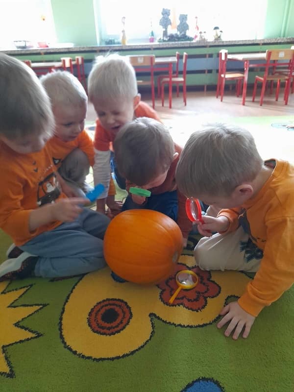 Dzień Dyni 387325396 303369512556567 2260367994894499197 n