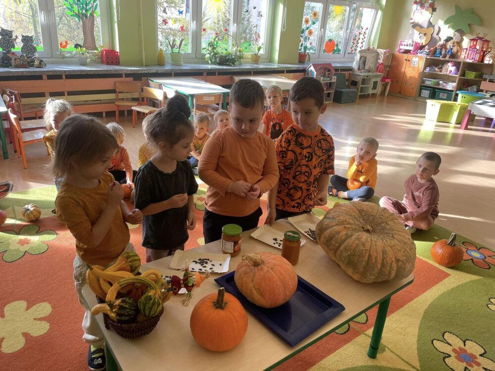 465166314 1048067570664446 3846842887647181791 n