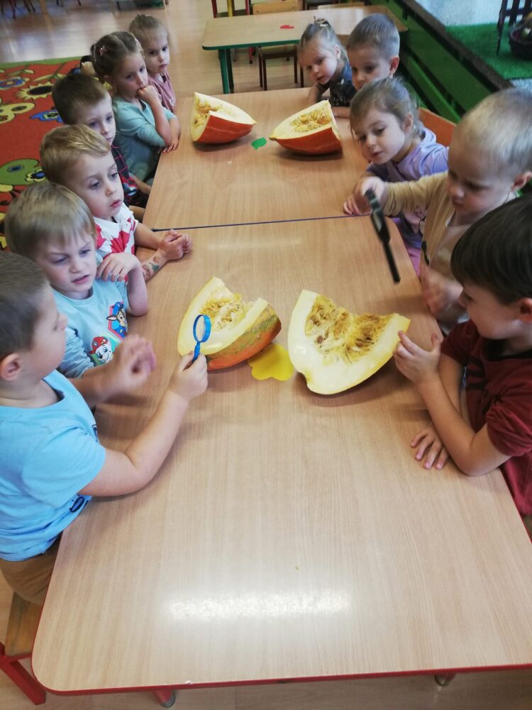 465670284 1051018310369372 4440355933384756067 n