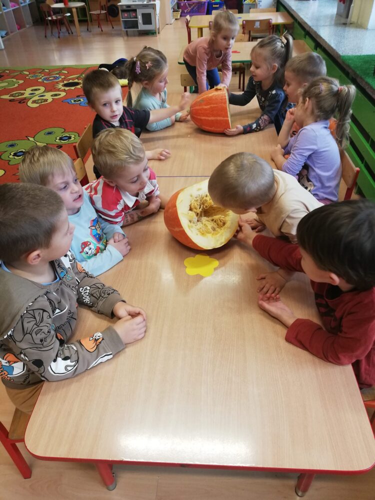 465783492 1051018037036066 2903269143307001164 n