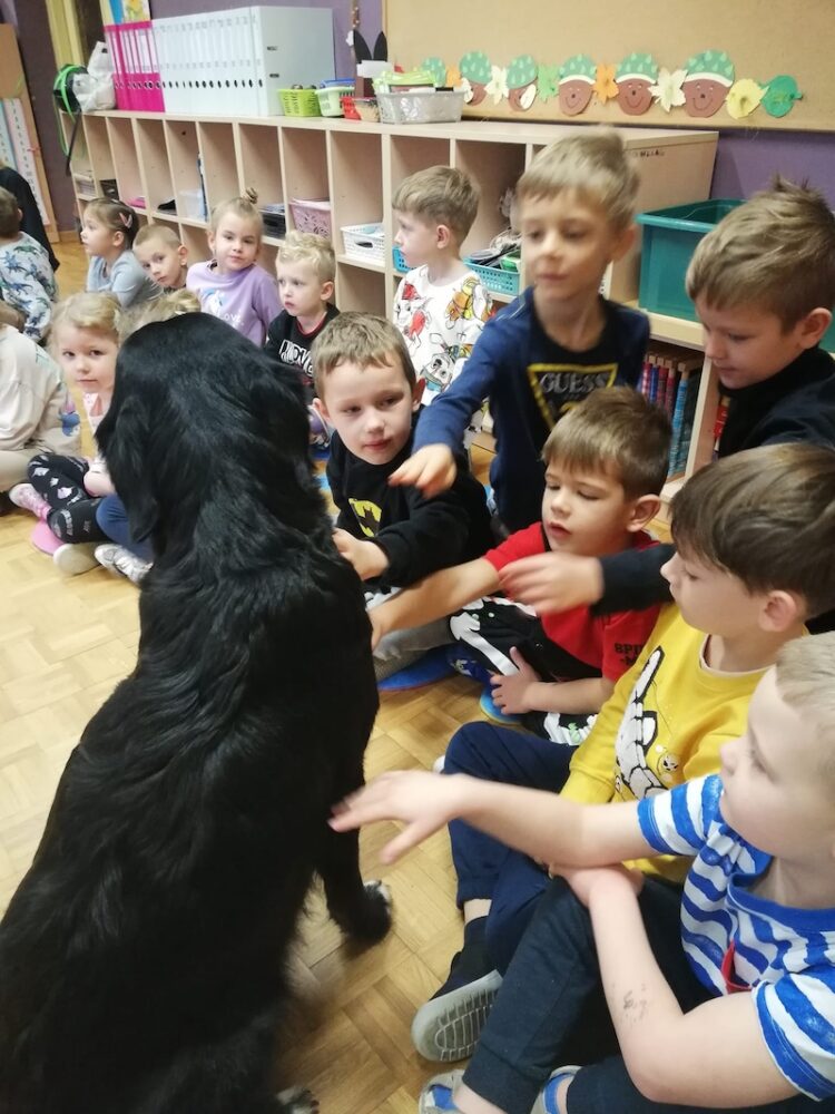 466035163 1052677726870097 1434057103397907327 n 1