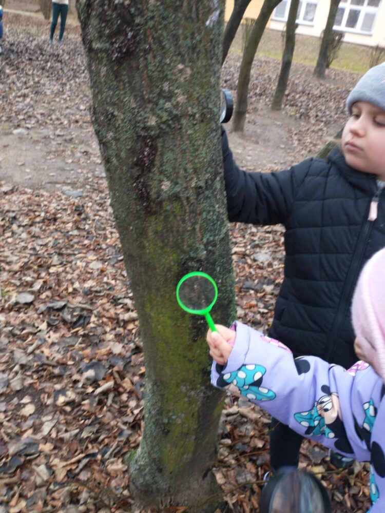 470155484 1084153823722487 1849211766107683970 n