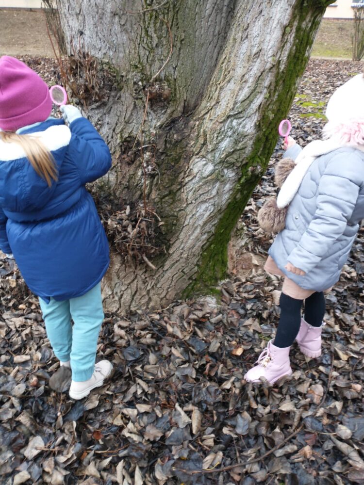 470178744 1084153253722544 3559920701137996275 n