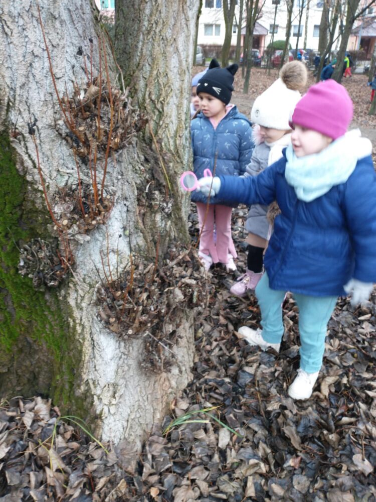 470206696 1084153440389192 2864202364275513265 n