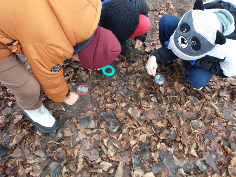 470216497 1084153407055862 4784588351710307125 n