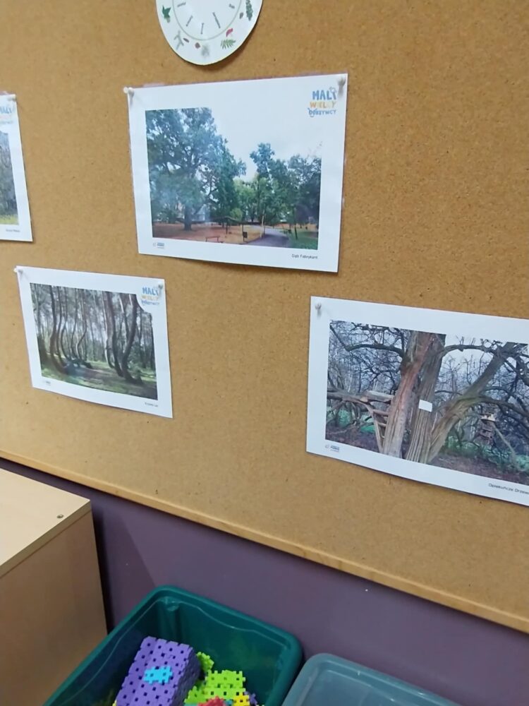 470223832 1084153467055856 8504109370297630105 n