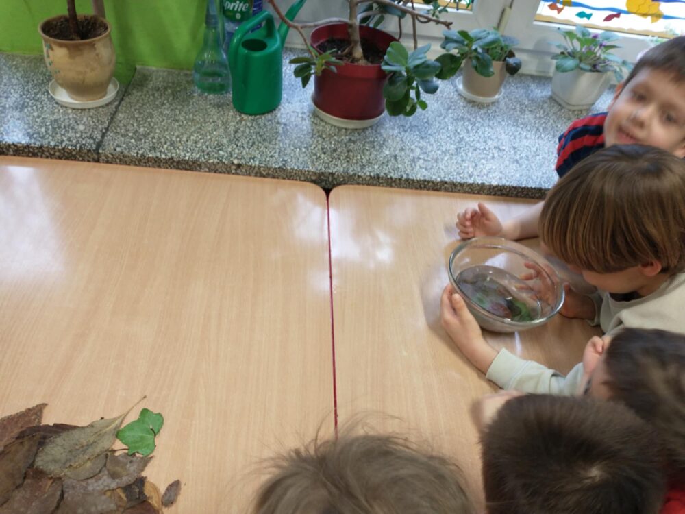 470229338 1084153670389169 4820682986609709166 n