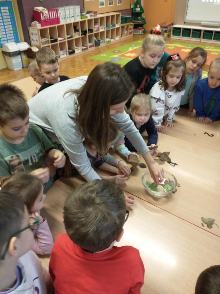 470574902 1084153427055860 5748580188126307113 n