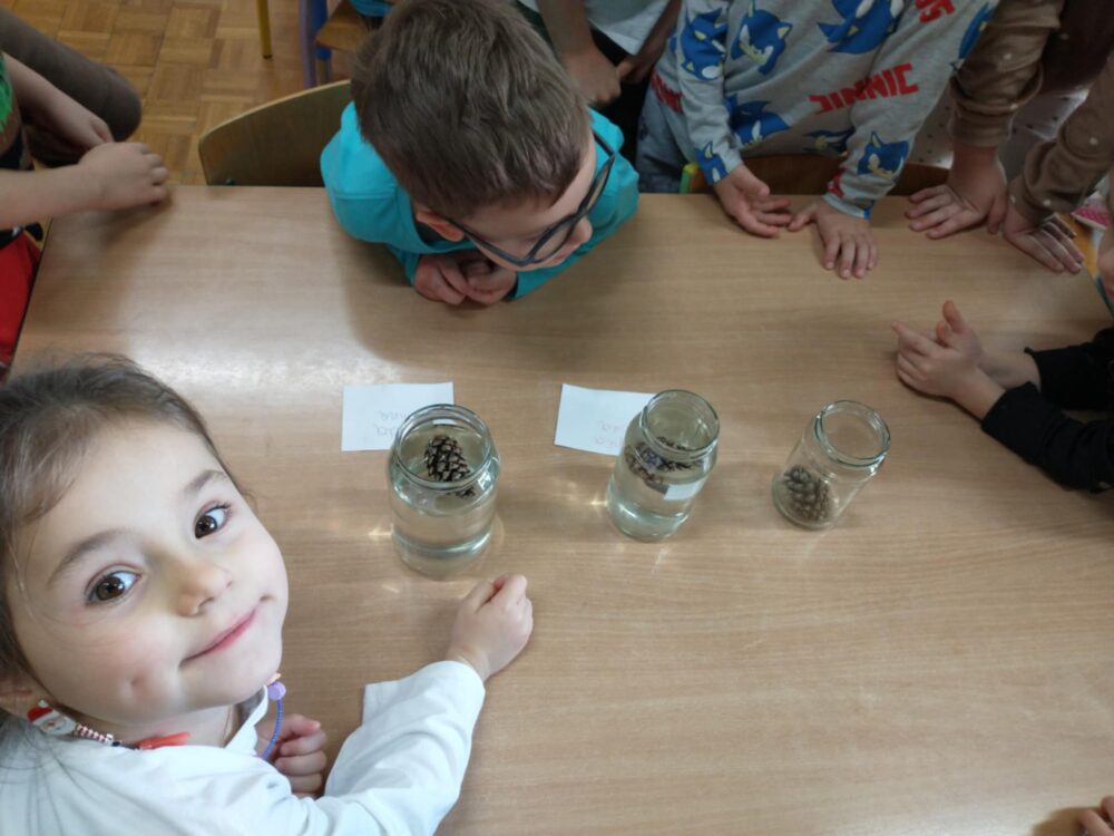 470578362 1084153247055878 2790871105593401079 n